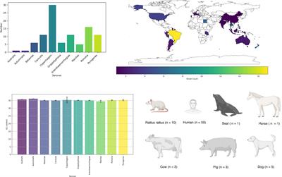 AMR mechanisms in L. interrogans serovars: a comprehensive study